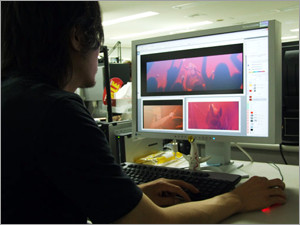 悪魔的デスクトップから繰り出される地獄の撮影技の数々！