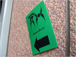 猫と少女インタビュー