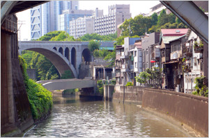 猫と少女インタビュー